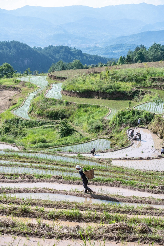 石柱土家族自治县农业农村局新项目推动农业现代化与乡村振兴同步发展