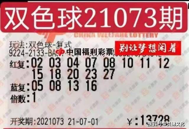 加入我们 第11页